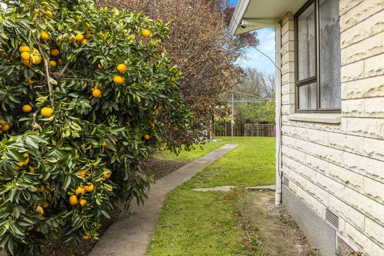 8 Owen Place Springlands_18