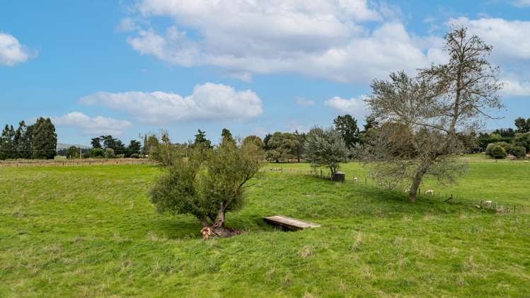 95 Settlement Road Waipukurau and Surrounds_8