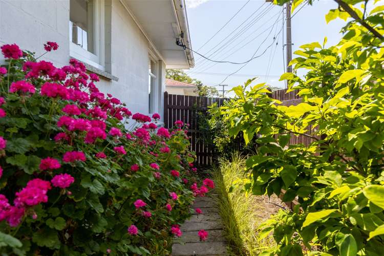 165 Hospital Road Witherlea_9