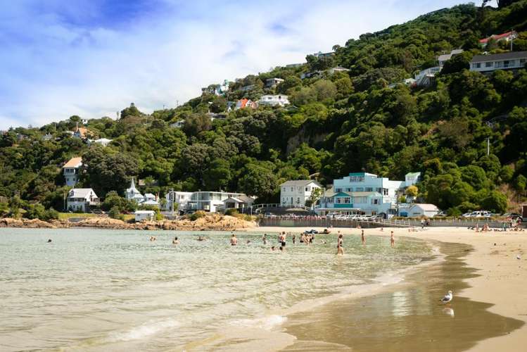 495 Karaka Bay Road Karaka Bays_37