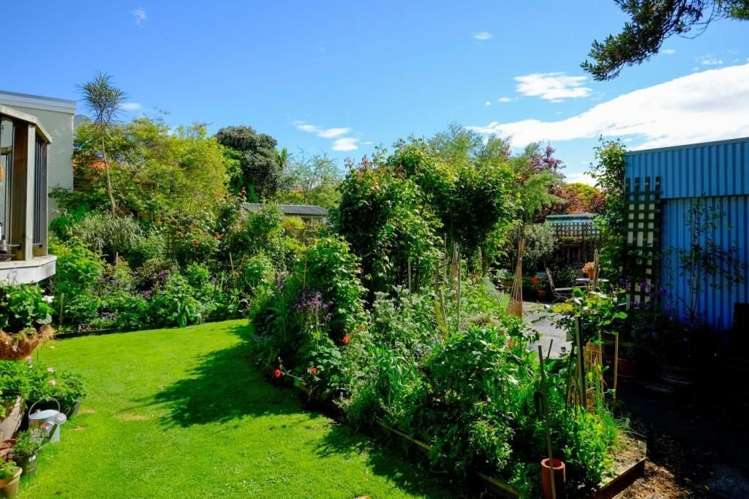 193 Forbury Road Saint Clair_16