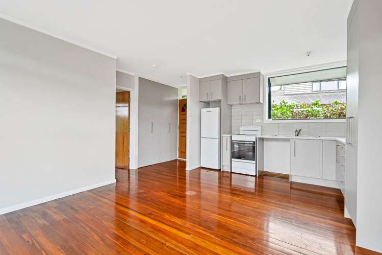 2/20A Haast Street_0