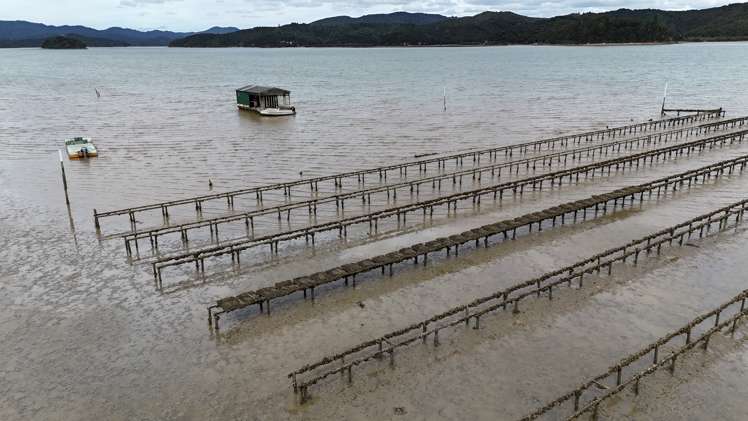 Waikare Inlet Opua_15