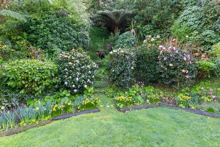 43 Futuna Close Karori_11