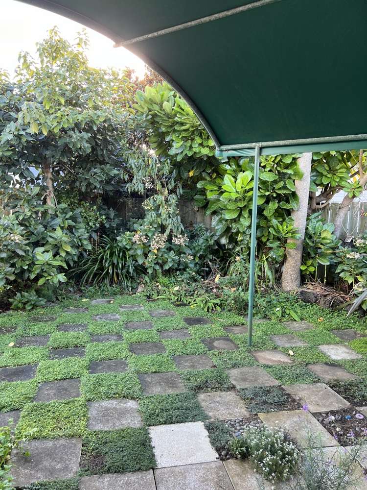 2B Curzon Street Onehunga_13