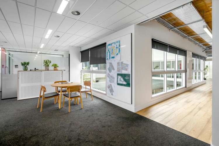 7 Falcon Street Parnell_6