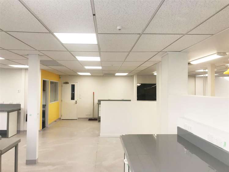 36b Seaview Road Seaview_2