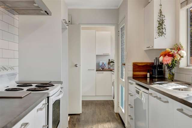 58 Rodney Street Nawton_4