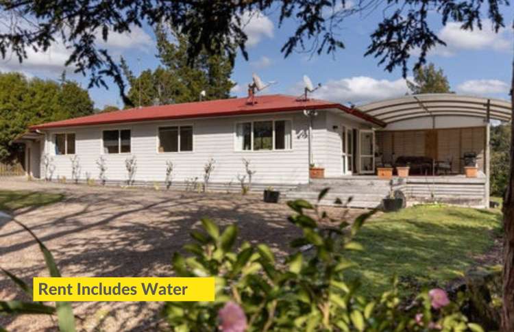 1164 No 3 Road Te Puke_17