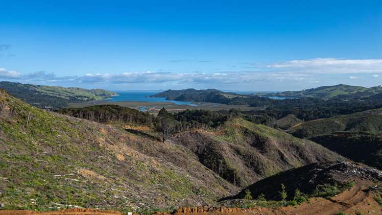 982B Manaia Road Coromandel_13