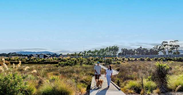 Lot 3 Pokerekere Cresent Kelvin Grove_2