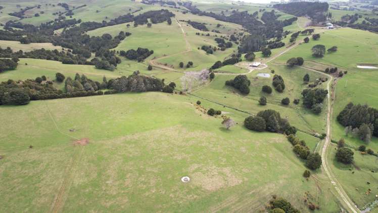 4283 State Highway 12 Dargaville Surrounds_2