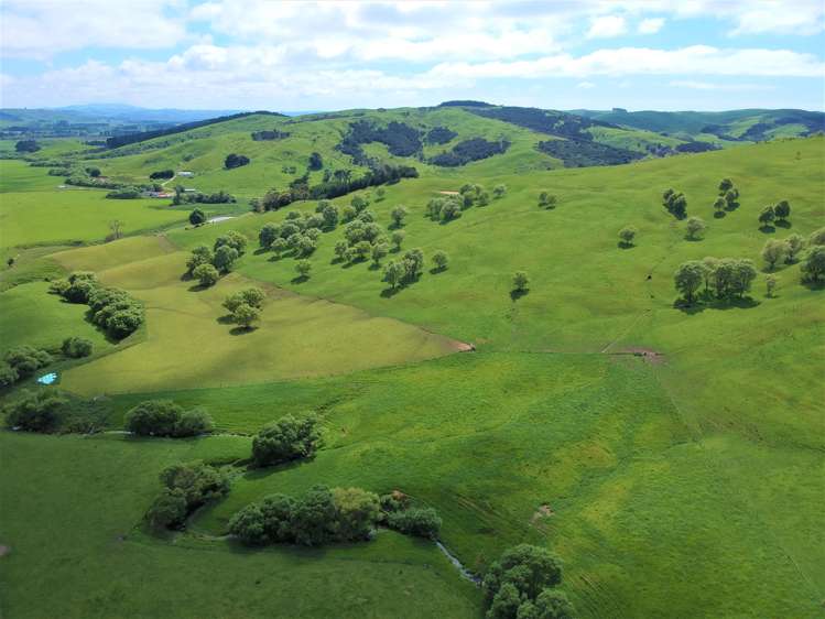 53 Jones Road Porangahau_6