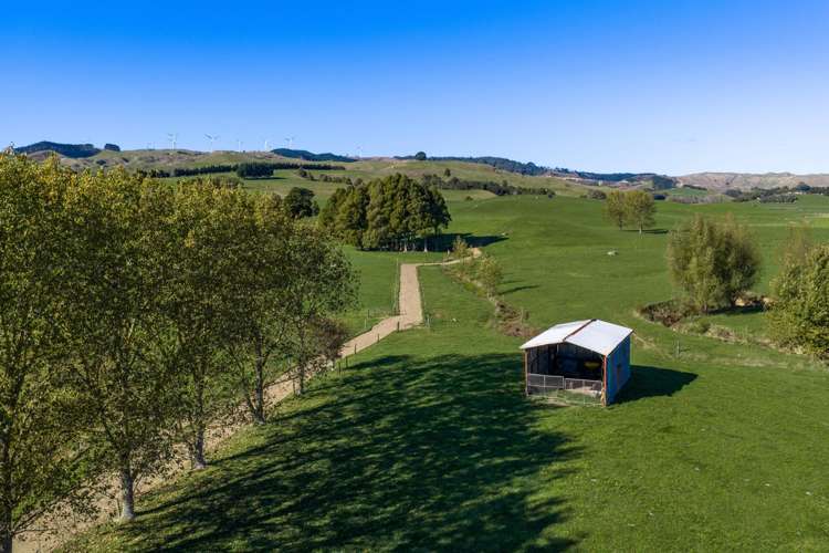 141 Te Mata Road Raglan_4