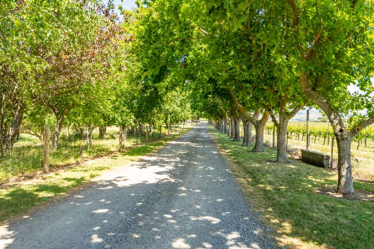 678 New Renwick Road Fairhall_25