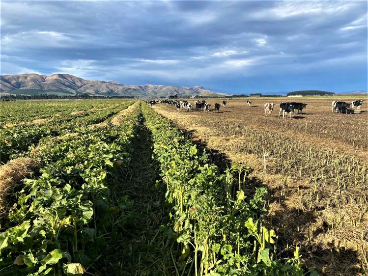 245 Selbie Road Lumsden Surrounds_8