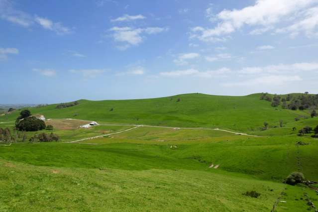 Versatile Grazing Opportunity