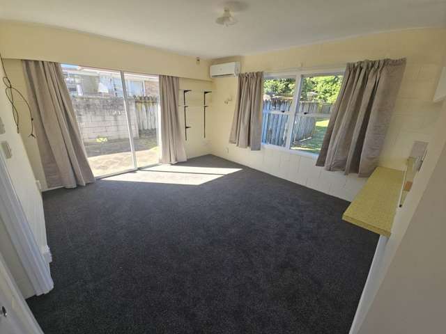 1/29 Edmund Hillary Avenue Papakura_1