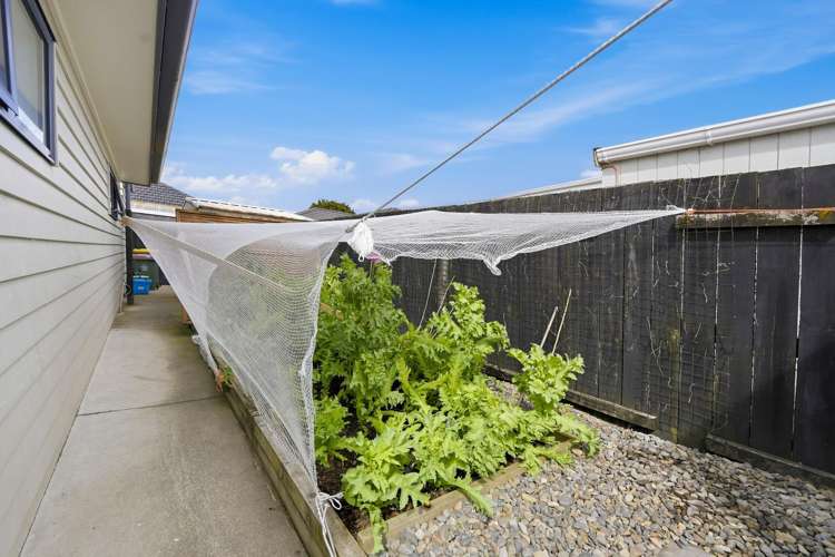 89A Cameron Road Te Puke_14