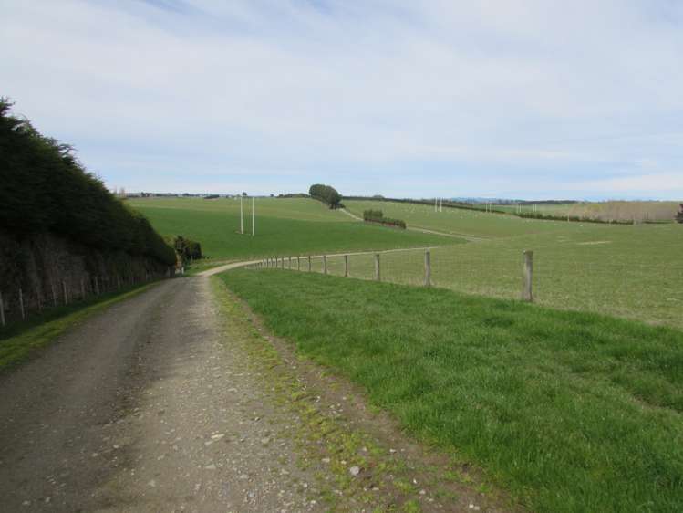 733 Koi Road Gore Surrounds_13