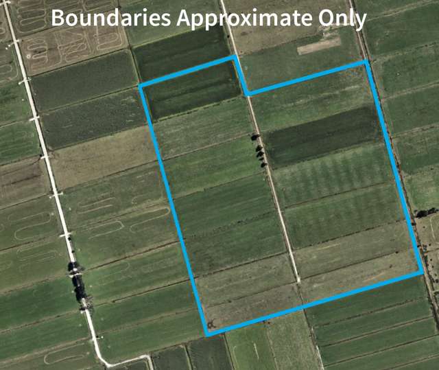 251 Collins Road Temple View_1