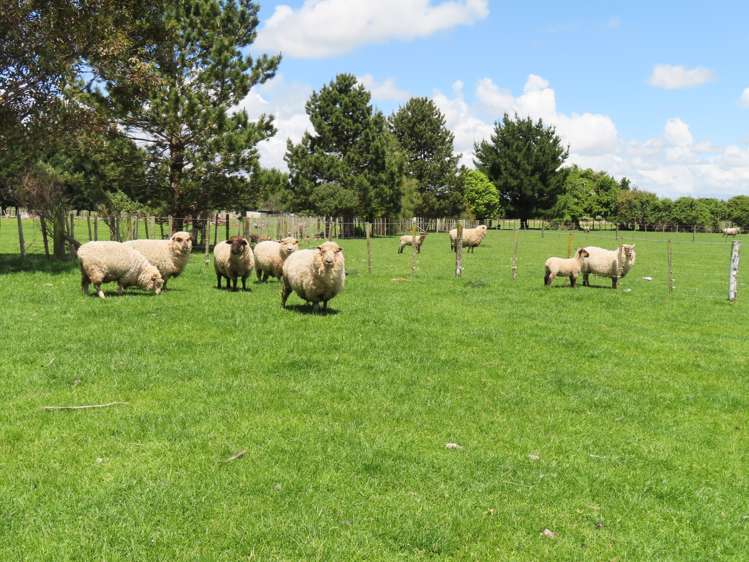 34 Short Road Pahiatua_3