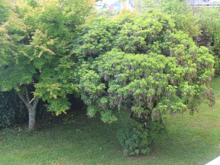 47 Hill Street Te Kuiti_13