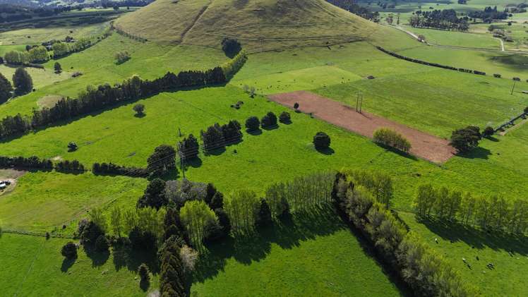 664 Te Pua Road Kaikohe_19