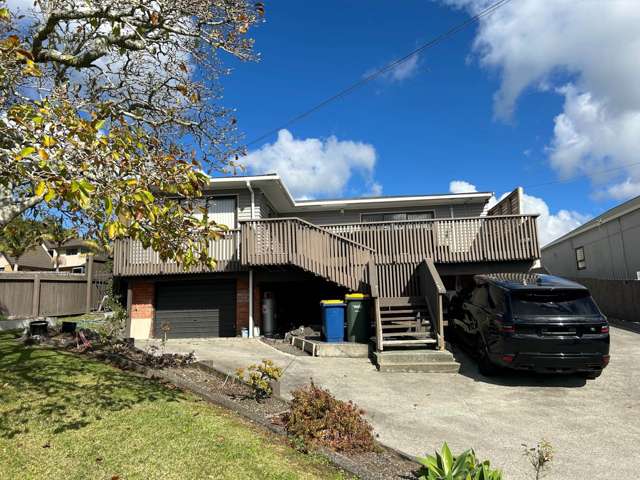 99 Awaroa Road Sunnyvale_1