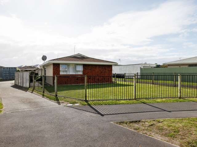 48A Livingstone Avenue Nawton_3