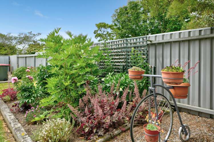 4 York Street Tapanui_30