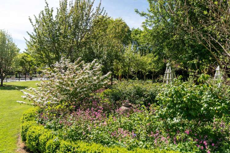 18 Mole Street Greytown_28