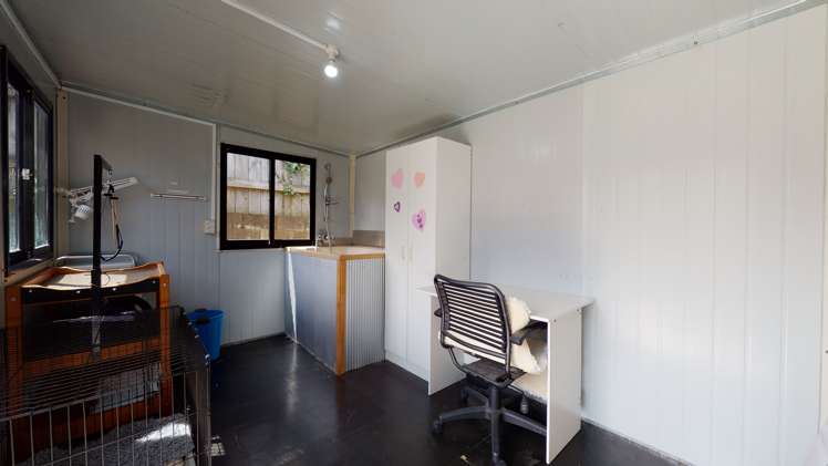 21a Chester Street Levin_15