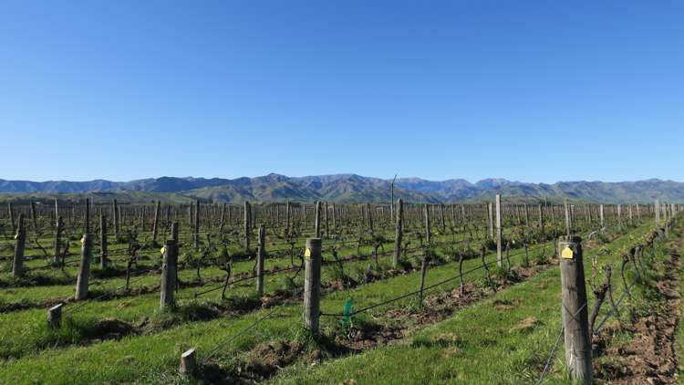 708 Waihopai Valley Road Waihopai Valley_13