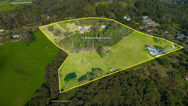 93 Mcentee Road Waitakere_2