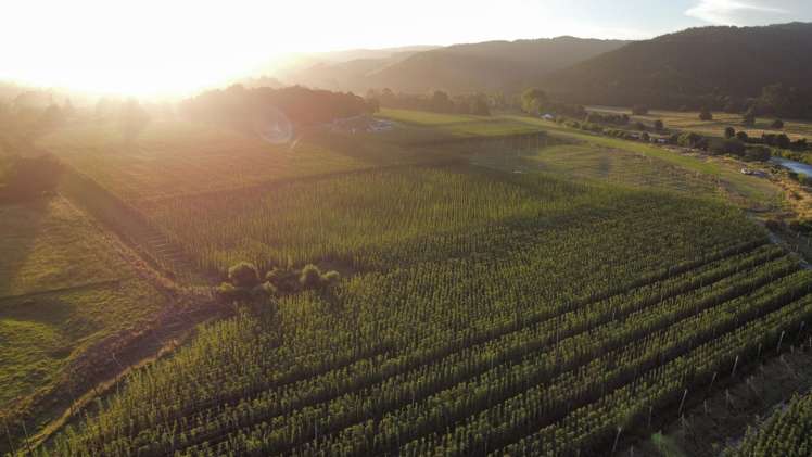 18C Wakefield-Kohatu Highway Wakefield_7