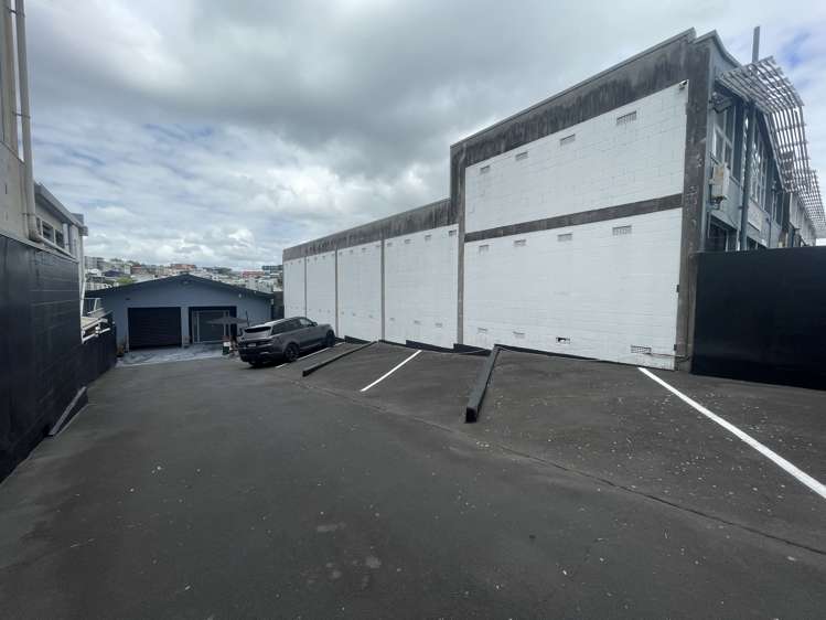 13 Galatos Street Auckland Central_9