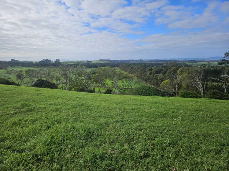 2299 State Highway 1 Waiharara_22