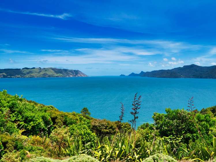 145 Cornwallis Road Cornwallis_19