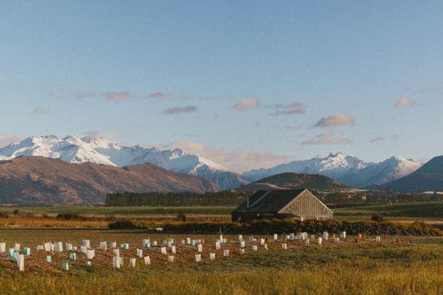 Your landing Pad - Wanaka Paradise