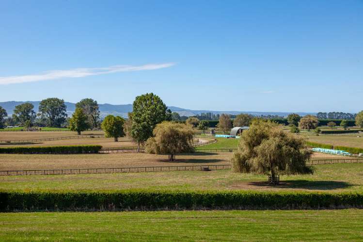 4602A State Highway 29 Matamata_14