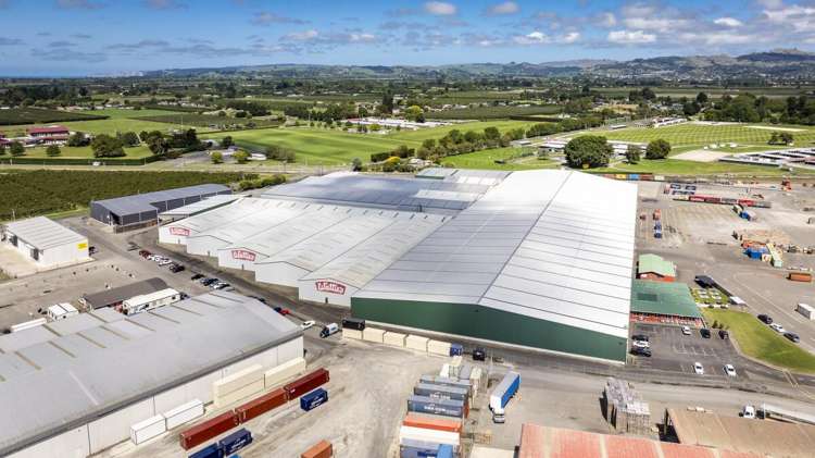 113 Elwood Road Tomoana_13