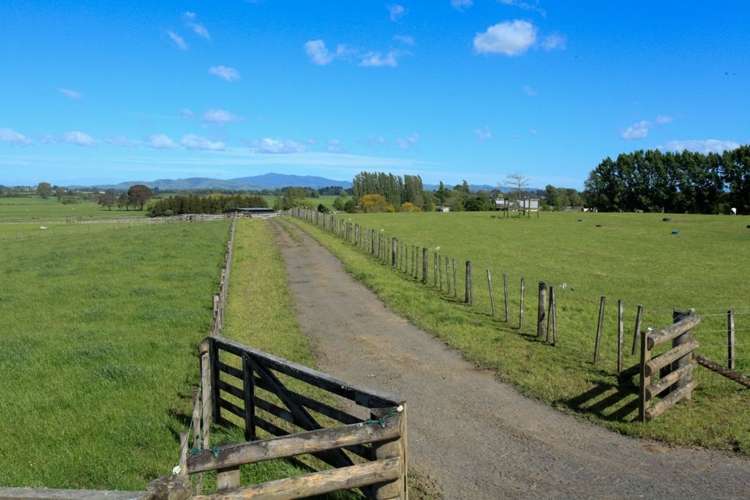 437 Mystery Creek Road Ohaupo_8