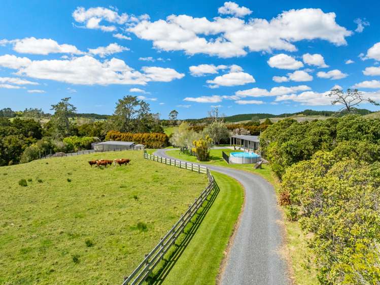 83 Waitangi Road Kiripaka_29
