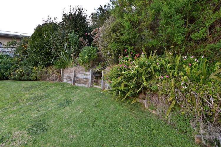 3 Pine Grove Tairua_18