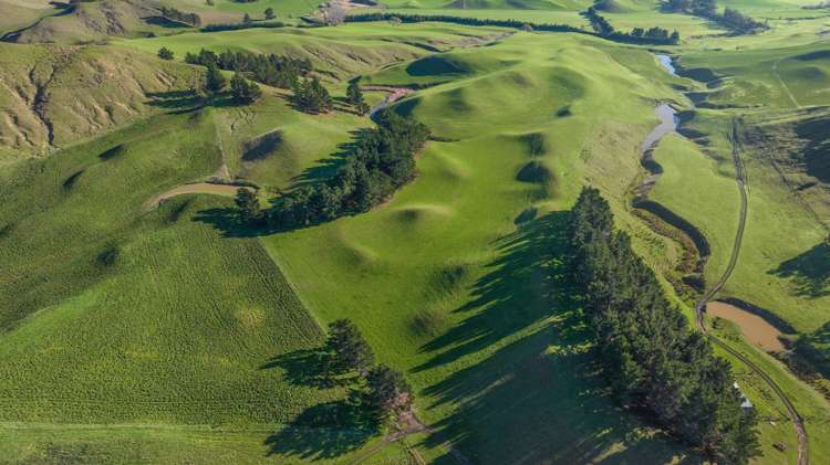 285 Grassmere Road Lake Grassmere_27