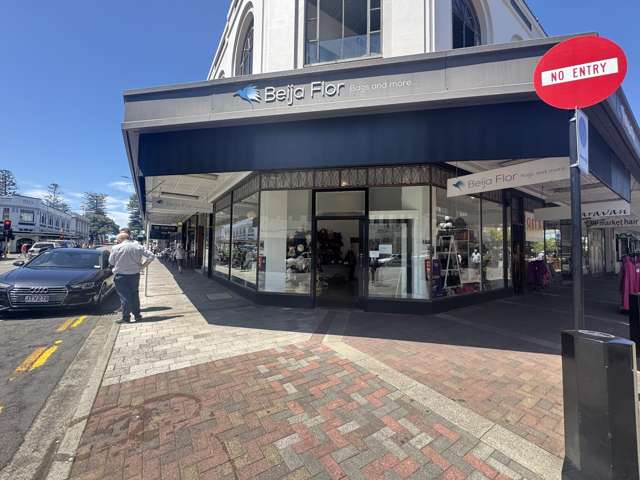 34 Tennyson Street Napier South_1