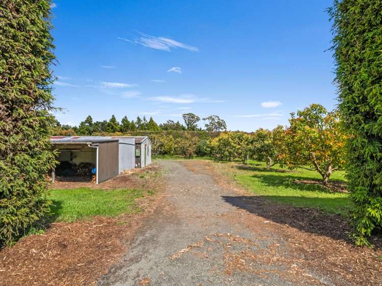 2165c State Highway 2 Aongatete_12