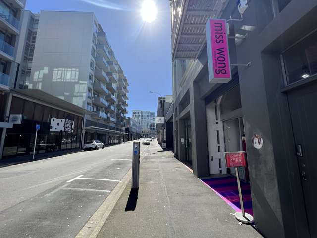 14 College Street Te Aro_1