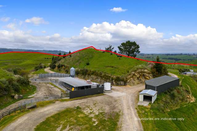 851B Kaahu Road Whakamaru_4